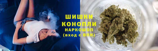 гашик Балахна