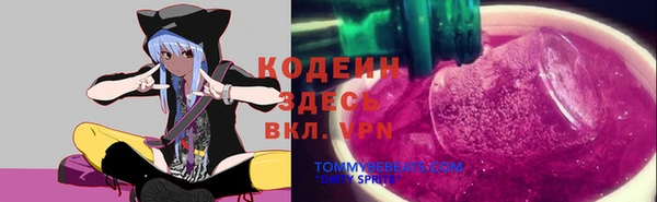 гашик Балахна