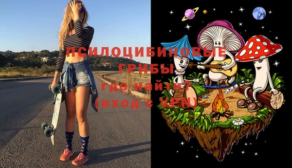 гашик Балахна